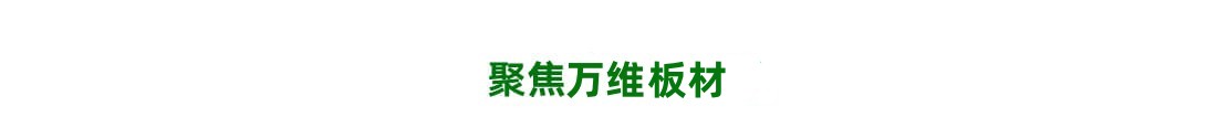 万维资讯 最新订单